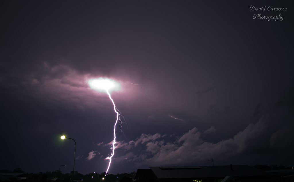 Snapped near Warwick on November 17. Photo: Contributed